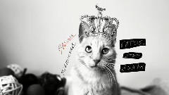 Gatos Stin Ekali