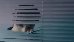 STALKER 预告版