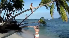 圣布拉斯岛椰子收获