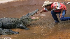 六个世界级高危职业