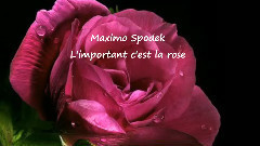 L'IMPORTANT C'EST LA ROS