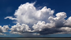 最后的莫西干人