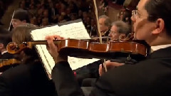 维也纳新年音乐会 蓝色的多瑙河2013