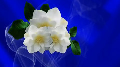 Очарование