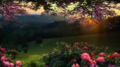 Магическият Свят, в който живеем ~