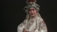 中国戏曲 - 谢瑶环