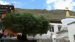 白雪胜地日喀则