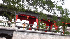 扮皇帝