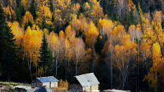 中国最美乡村 新疆布尔津图瓦村