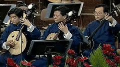 唢呐演奏百鸟朝凤曲谱_唢呐百鸟朝凤曲谱(2)