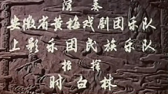 黄梅戏 - 黄梅戏三绝之牛郎织女 1
