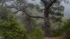 ПУТЕШЕСТВИЕ В ТУРЦИЮ