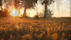 十分唯美的理查德.克莱德曼音乐