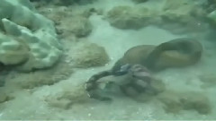 The Bottom Of The Sea Will