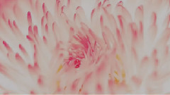 感悟人生哲理人生箴言