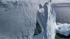 Самое смешное домашнее видео америки