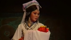 程婴救孤5