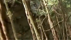 环游世界之澳大利亚 第7集A