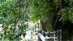 环游世界之贵州荔波