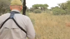 Good carry a life on the grasslands of the lion, was killed