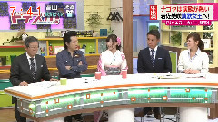 岩佐美咲 AKB48初の演歌歌手がやってきた!SP ドデスカ!