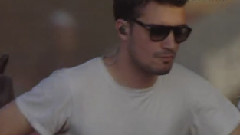 Reptilia