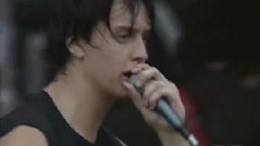 Reptilia