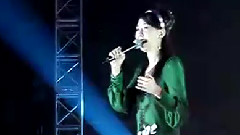 兰花草
