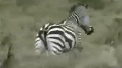 影视原声 - Just Blue