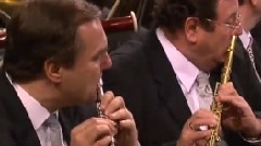 2004年维也纳新年音乐会
