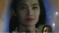 影视原声 - 真心真情