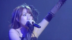 奇迹は夜生まれる