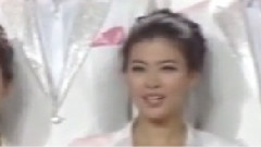 迎风飘扬的旗