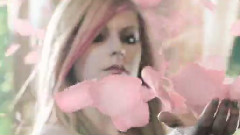 Wild Rose TV Commerical