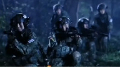 影视原声 - 电视剧<我是特种兵之火凤凰> 片头曲