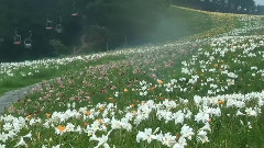 Hide And Seek