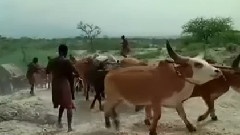 影视原声 - 电影