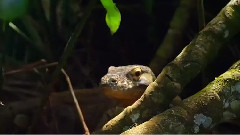 Watching The Storm