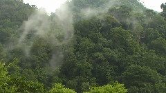 After The Rain Of The Gorgeous