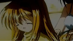 鸟の诗