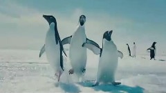 海底世界