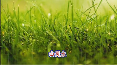 甘露简谱_杨枝甘露图片(3)