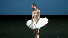 Sylvia