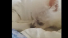 宗泫Ins更新