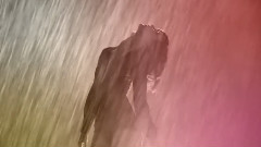 Distorted Love
