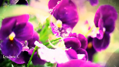 For You