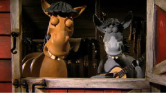 Ccusa Horse Mule