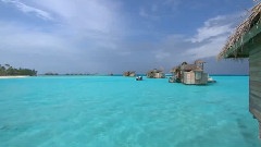 贝壳里的心事-夏