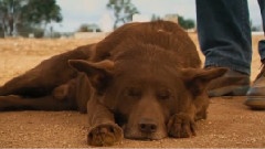 影视原声 - 电影