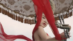 华语电影集锦 2013